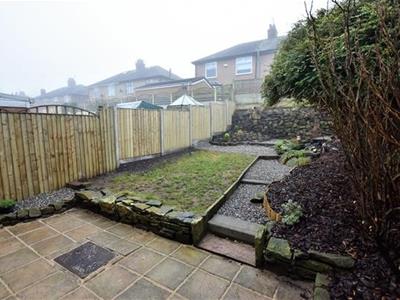 Picture 11